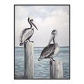 Picture of Observing Pelicans _GroupedProduct_Rectangle_Portrait_Canvas_Framed_