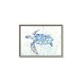 Picture of Sea Turtle I  _GroupedProduct_Rectangle_Landscape_Canvas_Framed_