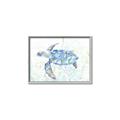 Picture of Sea Turtle I  _GroupedProduct_Rectangle_Landscape_Canvas_Framed_