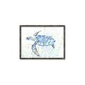 Picture of Sea Turtle I  _GroupedProduct_Rectangle_Landscape_Canvas_Framed_