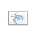 Picture of Sea Turtle I  _GroupedProduct_Rectangle_Landscape_Canvas_Framed_