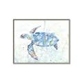 Picture of Sea Turtle I  _GroupedProduct_Rectangle_Landscape_Canvas_Framed_