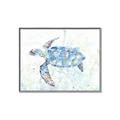 Picture of Sea Turtle I  _GroupedProduct_Rectangle_Landscape_Canvas_Framed_
