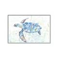 Picture of Sea Turtle I  _GroupedProduct_Rectangle_Landscape_Canvas_Framed_
