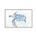 Picture of Sea Turtle I  _GroupedProduct_Rectangle_Landscape_Canvas_Framed_