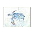 Picture of Sea Turtle I  _GroupedProduct_Rectangle_Landscape_Canvas_Framed_