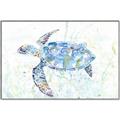Picture of Sea Turtle I  _GroupedProduct_Rectangle_Landscape_Canvas_Framed_