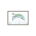 Picture of Sea Turtle II  _GroupedProduct_Rectangle_Landscape_Canvas_Framed_