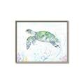 Picture of Sea Turtle II  _GroupedProduct_Rectangle_Landscape_Canvas_Framed_