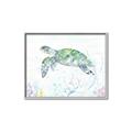 Picture of Sea Turtle II  _GroupedProduct_Rectangle_Landscape_Canvas_Framed_