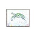 Picture of Sea Turtle II  _GroupedProduct_Rectangle_Landscape_Canvas_Framed_