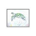 Picture of Sea Turtle II  _GroupedProduct_Rectangle_Landscape_Canvas_Framed_