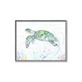 Picture of Sea Turtle II  _GroupedProduct_Rectangle_Landscape_Canvas_Framed_