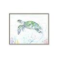 Picture of Sea Turtle II  _GroupedProduct_Rectangle_Landscape_Canvas_Framed_
