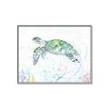Picture of Sea Turtle II  _GroupedProduct_Rectangle_Landscape_Canvas_Framed_