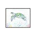 Picture of Sea Turtle II  _GroupedProduct_Rectangle_Landscape_Canvas_Framed_