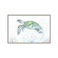 Picture of Sea Turtle II  _GroupedProduct_Rectangle_Landscape_Canvas_Framed_