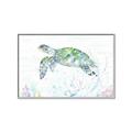 Picture of Sea Turtle II  _GroupedProduct_Rectangle_Landscape_Canvas_Framed_