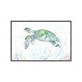Picture of Sea Turtle II  _GroupedProduct_Rectangle_Landscape_Canvas_Framed_