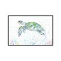 Picture of Sea Turtle II  _GroupedProduct_Rectangle_Landscape_Canvas_Framed_