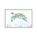 Picture of Sea Turtle II  _GroupedProduct_Rectangle_Landscape_Canvas_Framed_