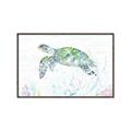Picture of Sea Turtle II  _GroupedProduct_Rectangle_Landscape_Canvas_Framed_