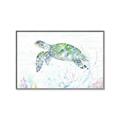 Picture of Sea Turtle II  _GroupedProduct_Rectangle_Landscape_Canvas_Framed_