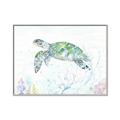 Picture of Sea Turtle II  _GroupedProduct_Rectangle_Landscape_Canvas_Framed_