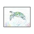 Picture of Sea Turtle II  _GroupedProduct_Rectangle_Landscape_Canvas_Framed_