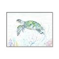 Picture of Sea Turtle II  _GroupedProduct_Rectangle_Landscape_Canvas_Framed_