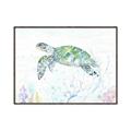 Picture of Sea Turtle II  _GroupedProduct_Rectangle_Landscape_Canvas_Framed_