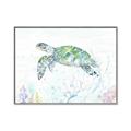 Picture of Sea Turtle II  _GroupedProduct_Rectangle_Landscape_Canvas_Framed_