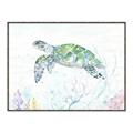 Picture of Sea Turtle II  _GroupedProduct_Rectangle_Landscape_Canvas_Framed_