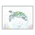 Picture of Sea Turtle II  _GroupedProduct_Rectangle_Landscape_Canvas_Framed_