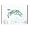 Picture of Sea Turtle II  _GroupedProduct_Rectangle_Landscape_Canvas_Framed_