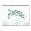 Picture of Sea Turtle II  _GroupedProduct_Rectangle_Landscape_Canvas_Framed_