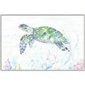 Picture of Sea Turtle II  _GroupedProduct_Rectangle_Landscape_Canvas_Framed_