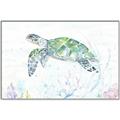 Picture of Sea Turtle II  _GroupedProduct_Rectangle_Landscape_Canvas_Framed_