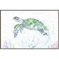 Picture of Sea Turtle II  _GroupedProduct_Rectangle_Landscape_Canvas_Framed_