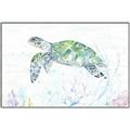 Picture of Sea Turtle II  _GroupedProduct_Rectangle_Landscape_Canvas_Framed_