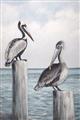 Picture of Observing Pelicans _GroupedProduct_Rectangle_Portrait_Unframed_Print_Only_