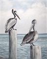 Picture of Observing Pelicans _GroupedProduct_Rectangle_Portrait_Unframed_Print_Only_