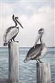 Picture of Observing Pelicans _GroupedProduct_Rectangle_Portrait_Unframed_Print_Only_