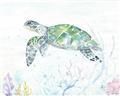 Picture of Sea Turtle II  _GroupedProduct_Rectangle_Landscape_Unframed_Print_Only_