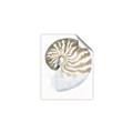 Picture of Sea Shell II _GroupedProduct_Rectangle_Portrait_Unframed_Print_Only_
