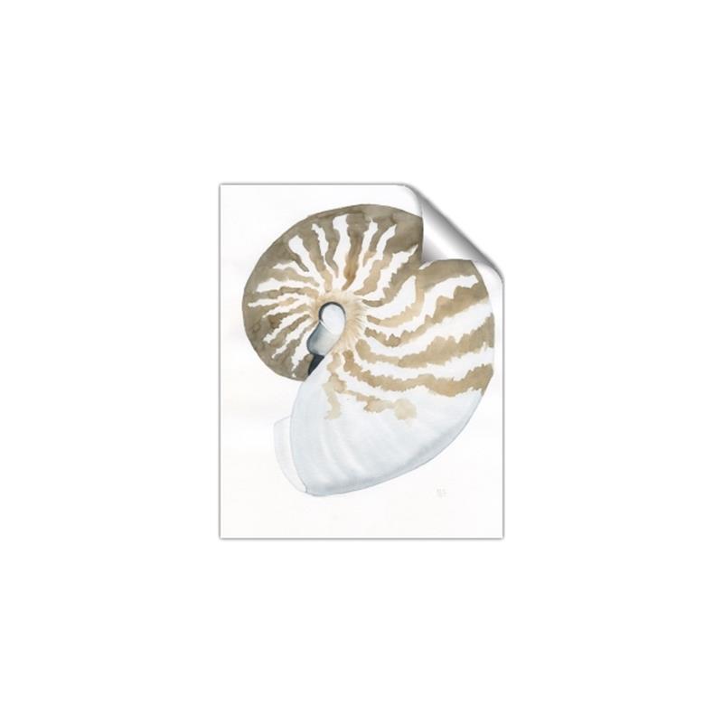 Picture of Sea Shell II _GroupedProduct_Rectangle_Portrait_Unframed_Print_Only_