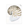 Picture of Sea Shell II _GroupedProduct_Rectangle_Portrait_Unframed_Print_Only_