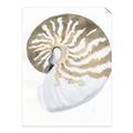 Picture of Sea Shell II _GroupedProduct_Rectangle_Portrait_Unframed_Print_Only_