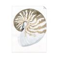Picture of Sea Shell II _GroupedProduct_Rectangle_Portrait_Unframed_Print_Only_