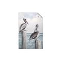 Picture of Observing Pelicans _GroupedProduct_Rectangle_Portrait_Unframed_Print_Only_